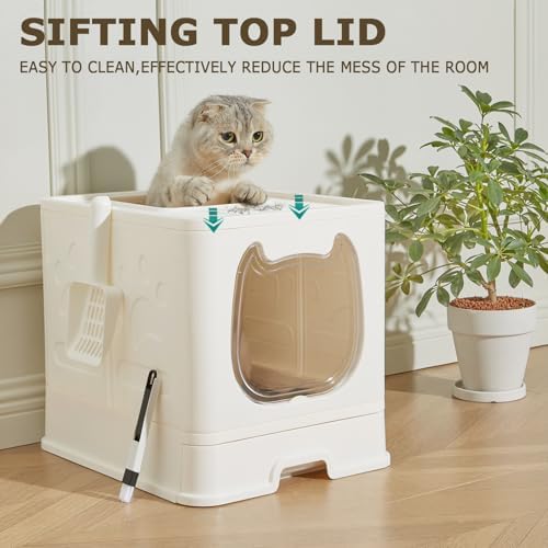 Cat Litter Box with Lid, Covered Top Entry Kitten Litter Pan