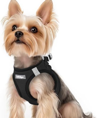 rabbitgoo Step-in Small Dog Harness, Puppy Vest