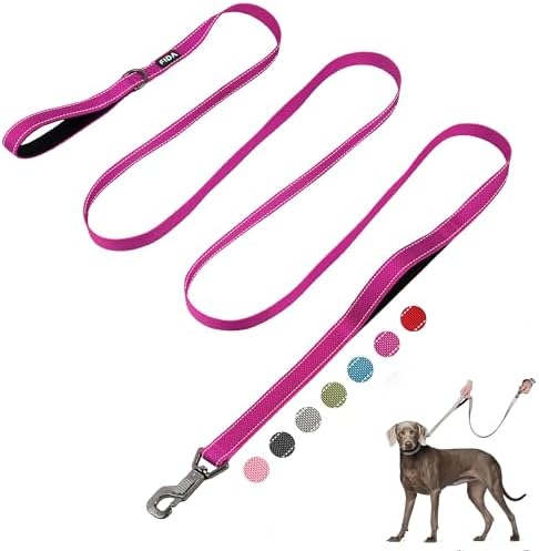 Fida 10 FT Heavy Duty Dog Leash, Dual Padded Handles