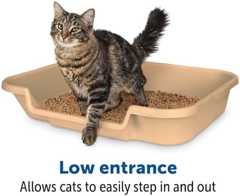 KittyGoHere Senior Cat Litter Box, Large Litter Pan, Beach Sand