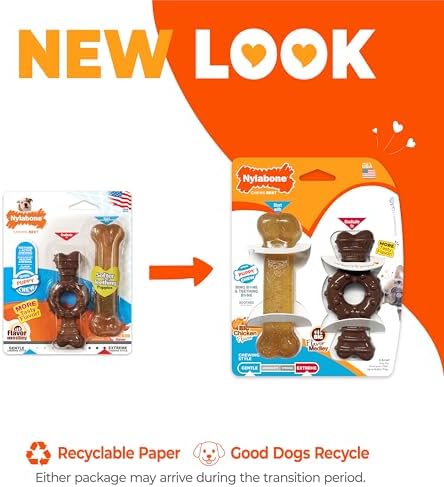 Nylabone Puppy Chew Teething Bone and Ring Bone Dog Chew Toys