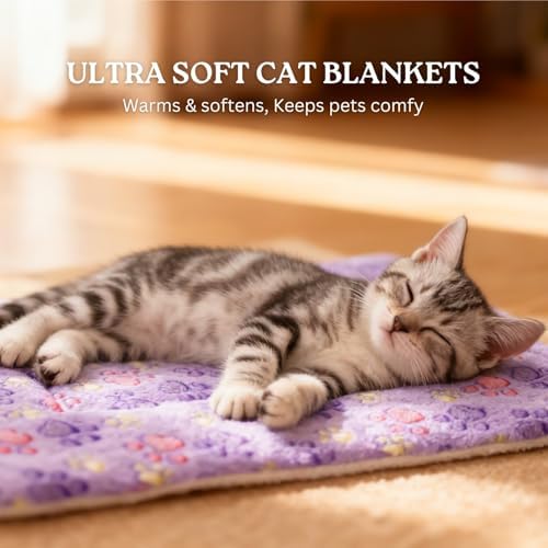 2 Pack Cat Blankets for Indoor Cats, Ultra Soft Reversible Mat, Fluffy Flannel