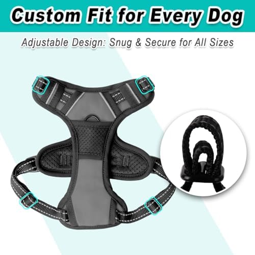 BARKBAY Dog Harness for Small Sized Dog No Pull 2 Leash Clips Dog Vest