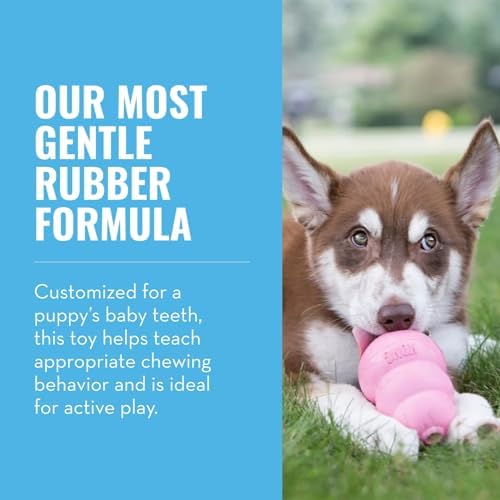 KONG Puppy, Natural Rubber Teething Chew Toy,