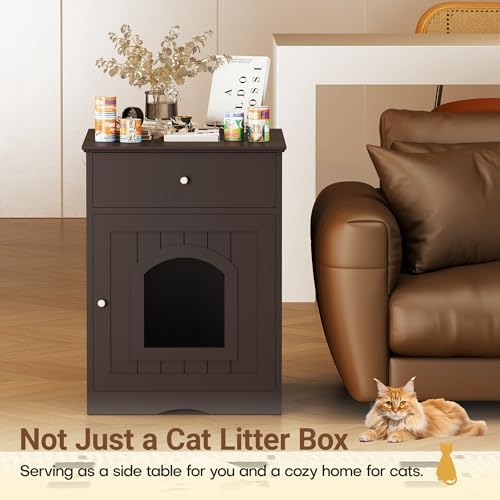 Litter Box Enclosure, Hidden Cat Litter Box Cabinet