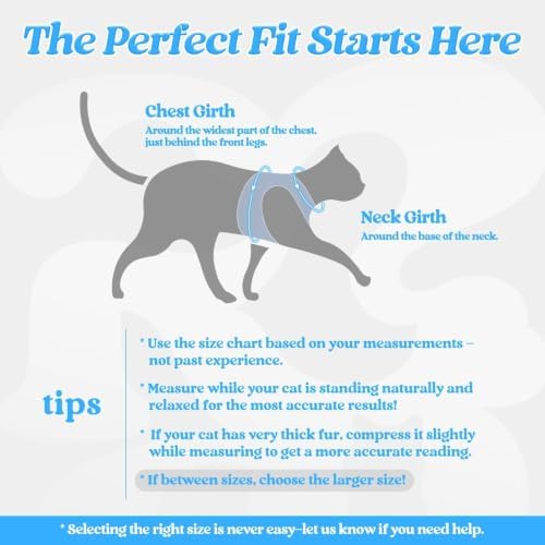 rabbitgoo Cat Harness and Leash Set, Step-in Soft Vest, Light Blue