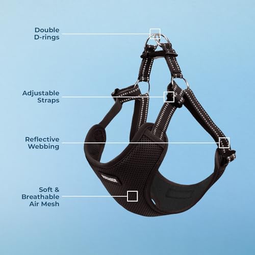 Voyager Step-in Flex Adjustable Dog Harness