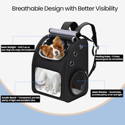 Expandable Cat Backpack Carrier