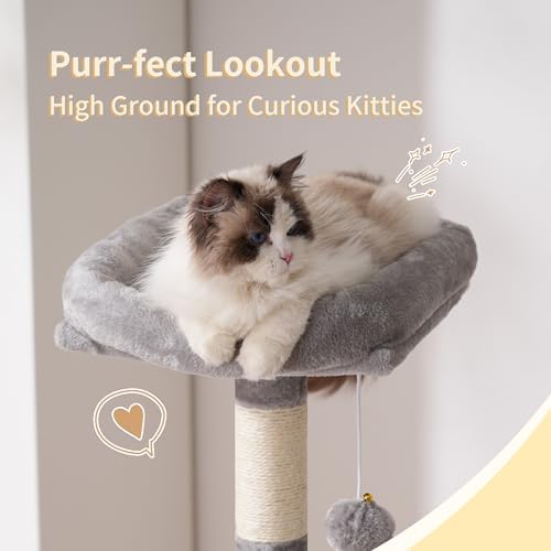 Heybly Cat Tree with Toy, 49 inch Cat Tower