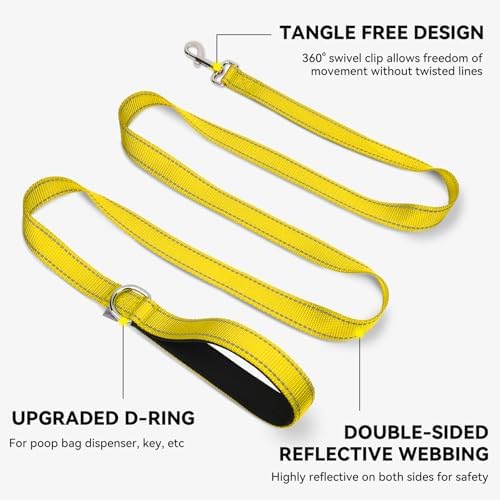 Joytale Reflective Dog Leash for Medium & Large Dogs, 5 FT x 1"