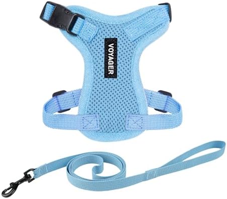 Voyager Step-in Lock Cat Harness & Leash Set