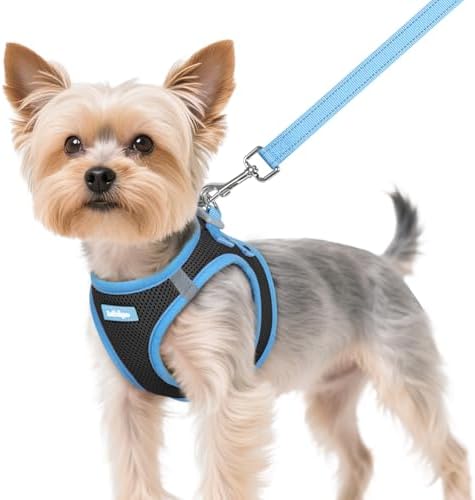 rabbitgoo Dog Harness Small Sized and Leash Set, Step in Soft Vest