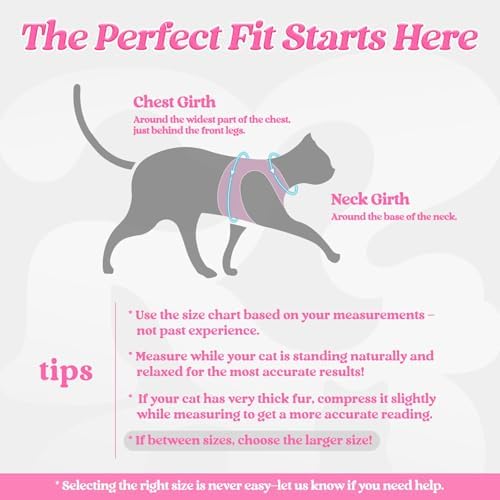 rabbitgoo Cat Harness and Leash Set, Step-in Soft Vest
