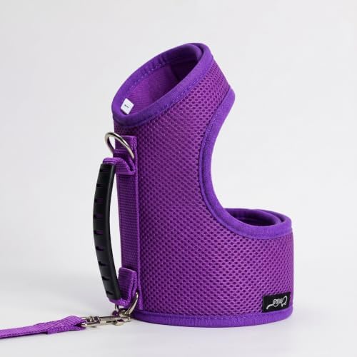 Cat Harness and Leash Set for Walking Escape Proof
