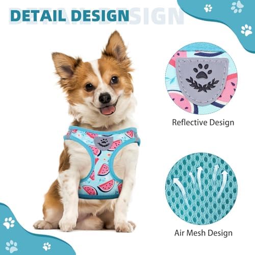 KOOLTAIL Dog Harness and Leash Set