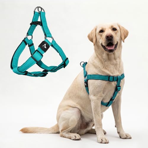 Kruz No Pull Dog Harness Heavy-Duty Pet Harness