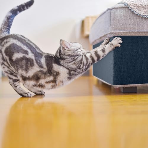 Cat Scratch Furniture Protector Couch Protector from cat Claws Self-Adhesive