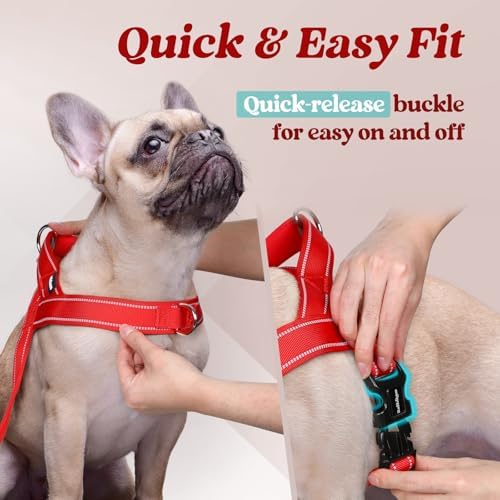 rabbitgoo Dog Harness No Pull, Quick Fit
