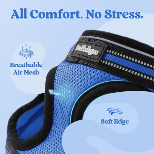 rabbitgoo Cat Harness and Leash Set, Step-in Soft Vest