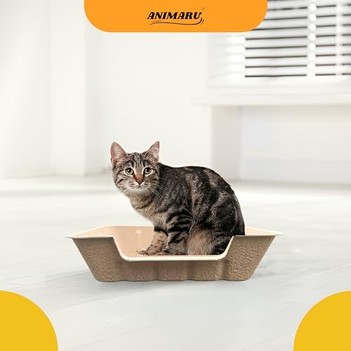Disposable Litter Boxes