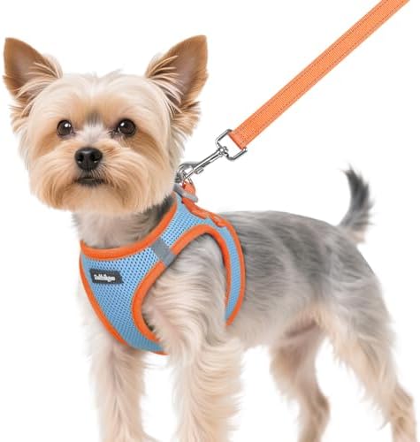 rabbitgoo Dog Harness Small Sized and Leash Set, Step in Soft Vest