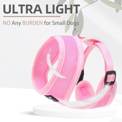 PUPTECK Small Dog Harness and Leash Set No Pull