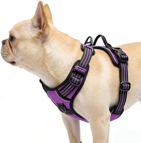 Purple No-Pull Dog Harness