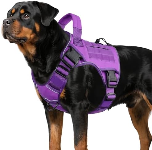 WINGOIN Purple Tactical Dog Harness