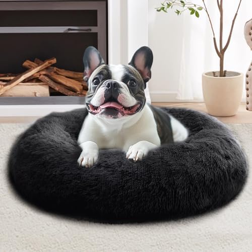 JOLLYVOGUE Calming Dog Bed for Small Dogs
