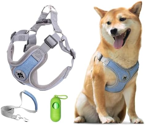 Patas Lague Dog Harness with Leash Set
