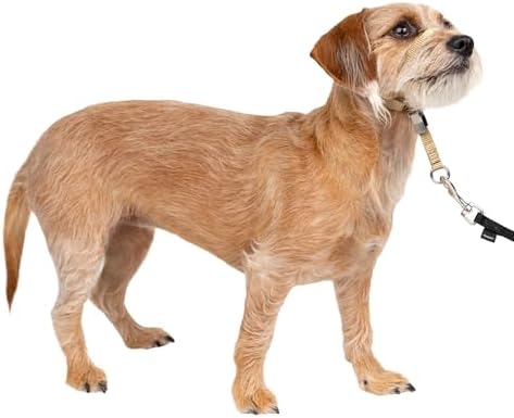 PetSafe Gentle Leader No Pull Dog Headcollar