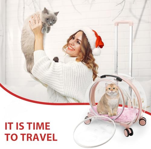 Transparent & Fully Breathable Hard cat Carrier