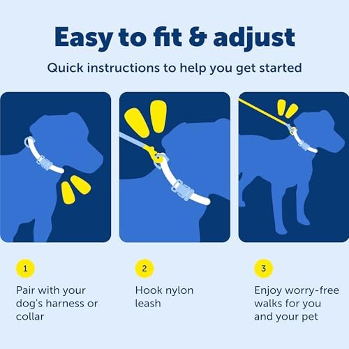 PetSafe Nylon Dog Leash