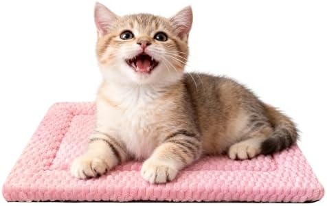 Dog Bed Mat – Soft & Comfortable Dog Kennel Pad