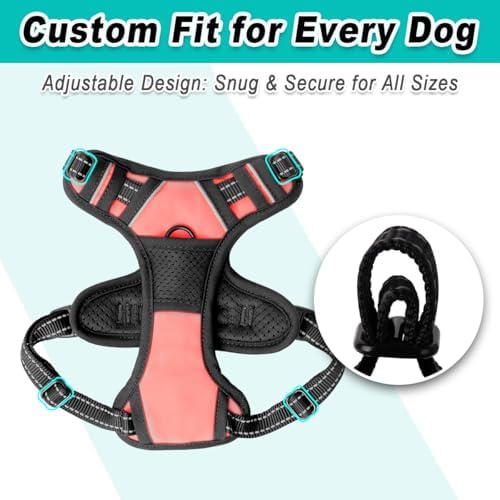 BARKBAY Dog Harness for Small Sized Dog No Pull 2 Leash Clips Dog Vest