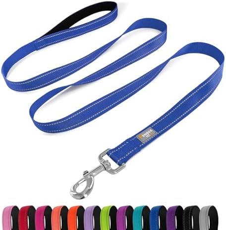 6 FT Basic Dog Leash for Small Dogs, Padded Handle