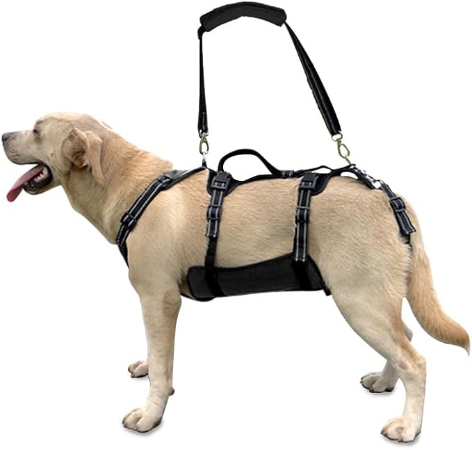 Coodeo Dog Lift Harness, Support & Recovery Sling, Pet Rehabilitation Lifts Vest Adjustable Breathable Straps for Old, Disabled, Joint Injuries, Arthritis, Paralysis Dogs Walk (Black,M)