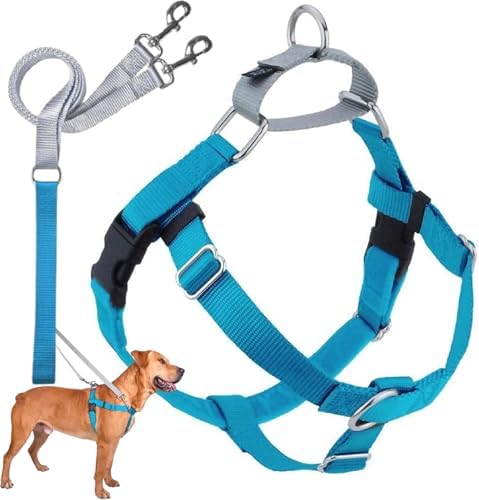 2 Hounds Design Freedom No Pull Dog Harness and Leash