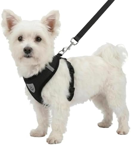 Hypeety Dog Vest Harness No-Pull Reflective Step-in Air Mesh Vest