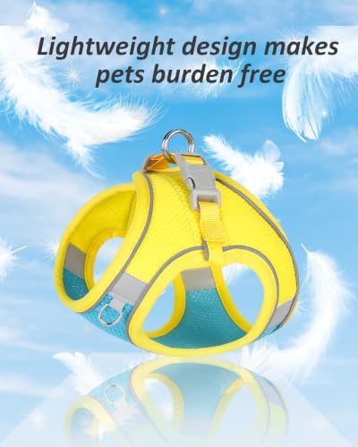 Solmoony Dog Harness for Small Medium Dogs No Pull, Puppy Harness and Leash Set
