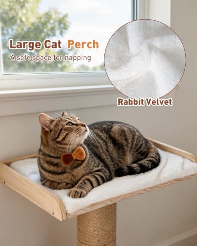 25.2" Cat Scratching Post with Bed, Cat Scratcher