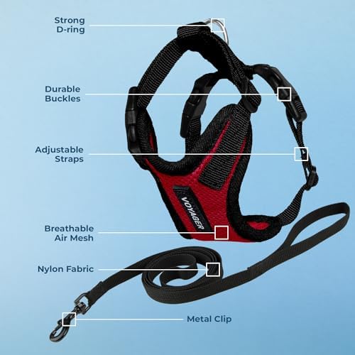 Voyager Step-in Lock Cat Harness & Leash Set