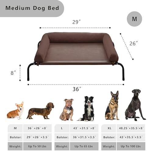 Cooling Elevated Dog Bed