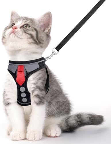 Cat Harness and Leash Set for Walking Escape Proof Vest for Kitten