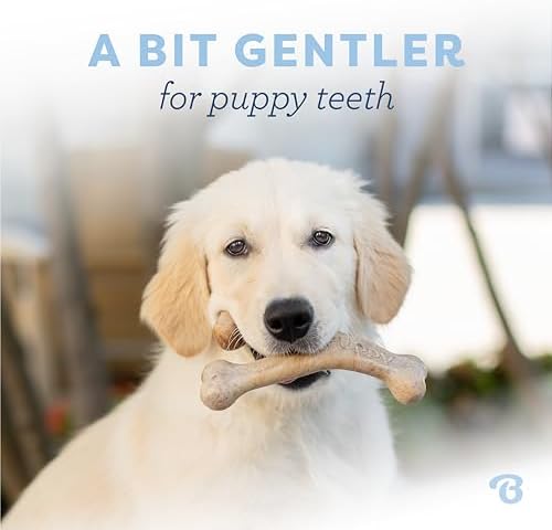 Benebone Puppy Wishbone Dog Chew Toy