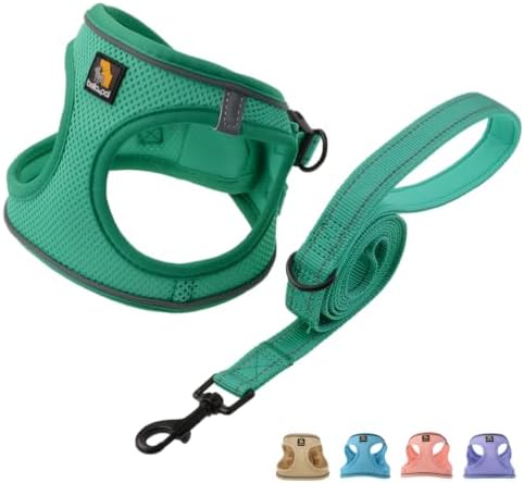 BELLA & PAL Step in Puppy Harness and Leash Set