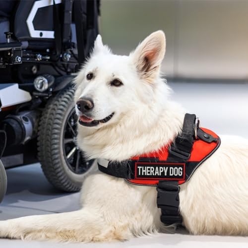 2 Pcs Reflective Therapy Dog Patch Set