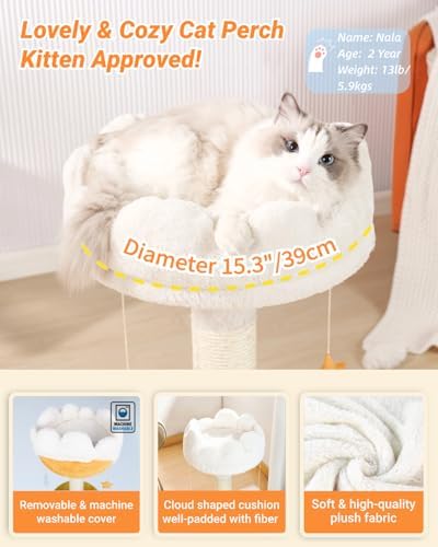 Happi N Pets Tall Cat Scratching Post