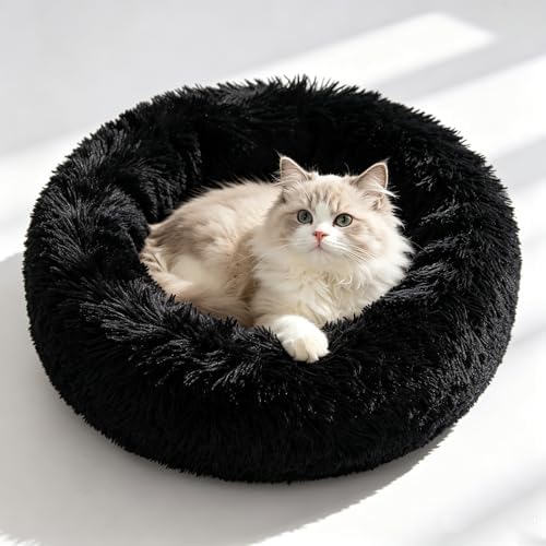 Cat Beds for Indoor Cats