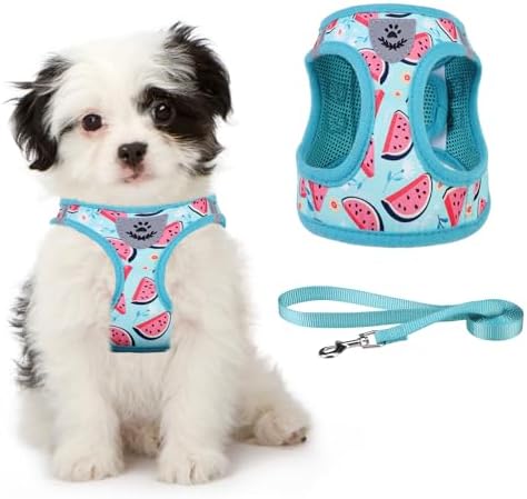KOOLTAIL Dog Harness and Leash Set